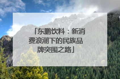 东鹏饮料：新消费浪潮下的民族品牌突围之路