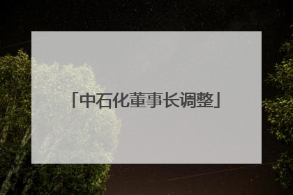 中石化董事长调整