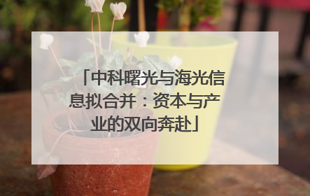 中科曙光与海光信息拟合并：资本与产业的双向奔赴