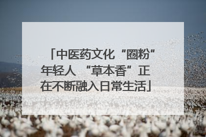 中医药文化“圈粉”年轻人 “草本香”正在不断融入日常生活