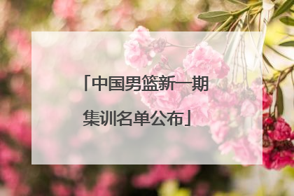 中国男篮新一期集训名单公布