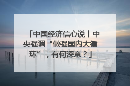 中国经济信心说丨中央强调“做强国内大循环”，有何深意？