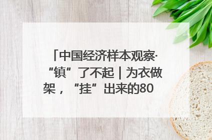中国经济样本观察·“镇”了不起｜为衣做架，“挂”出来的80亿元“衣架产业”