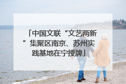 中国文联“文艺两新”集聚区南京、苏州实践基地在宁授牌
