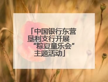 中国银行东营垦利支行开展 “粽夏童乐会”主题活动