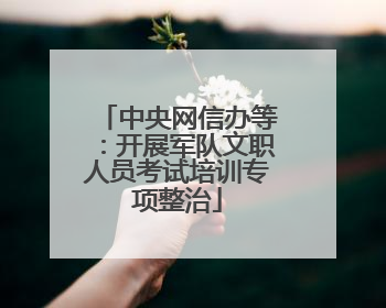 中央网信办等：开展军队文职人员考试培训专项整治
