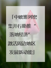 中欧班列密集开行助推“落地经济” 激活周边地区发展新动能