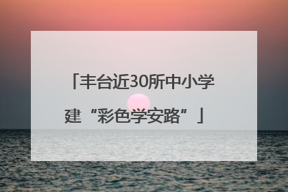 丰台近30所中小学建“彩色学安路”