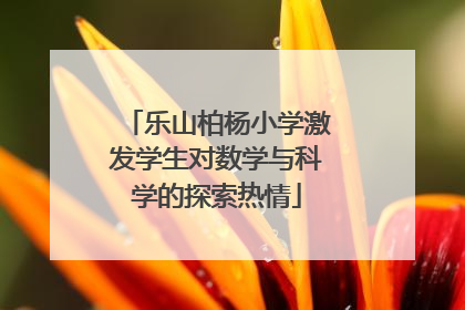 乐山柏杨小学激发学生对数学与科学的探索热情