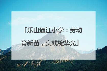 乐山通江小学：劳动育新苗，实践绽华光