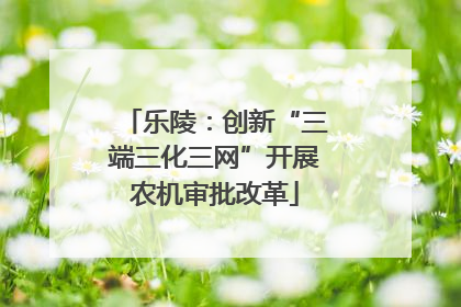 乐陵：创新“三端三化三网”开展农机审批改革