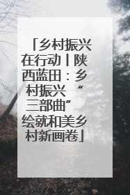 乡村振兴在行动丨陕西蓝田：乡村振兴 “三部曲” 绘就和美乡村新画卷