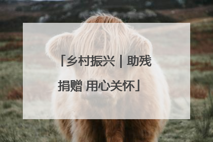 乡村振兴｜助残捐赠 用心关怀