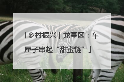 乡村振兴｜龙亭区：车厘子串起“甜蜜链”
