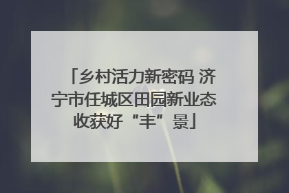 乡村活力新密码 济宁市任城区田园新业态收获好“丰”景