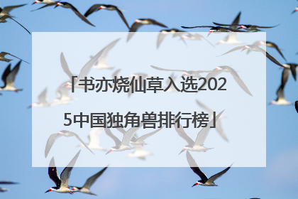 书亦烧仙草入选2025中国独角兽排行榜