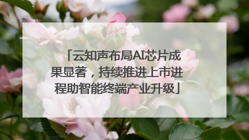 云知声布局AI芯片成果显著，持续推进上市进程助智能终端产业升级