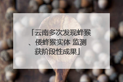 云南多次发现蜂猴、倭蜂猴实体 监测获阶段性成果