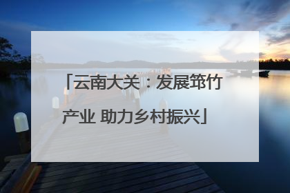 云南大关：发展筇竹产业 助力乡村振兴