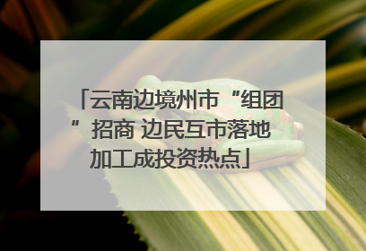云南边境州市“组团”招商 边民互市落地加工成投资热点