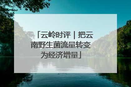 云岭时评｜把云南野生菌流量转变为经济增量
