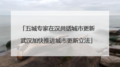 五城专家在汉共话城市更新 武汉加快推进城市更新立法