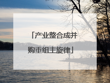 产业整合成并购重组主旋律
