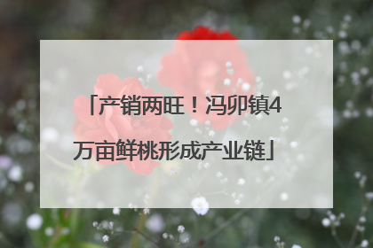 产销两旺！冯卯镇4万亩鲜桃形成产业链