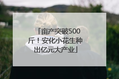 亩产突破500斤！安化小花生种出亿元大产业