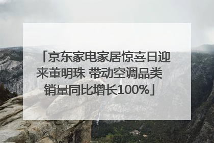 京东家电家居惊喜日迎来董明珠 带动空调品类销量同比增长100%