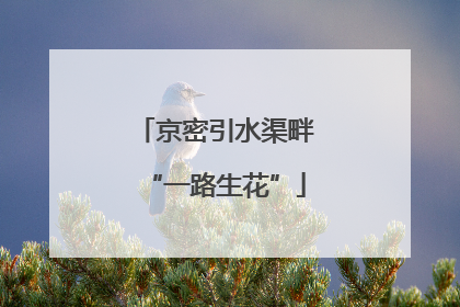 京密引水渠畔“一路生花”