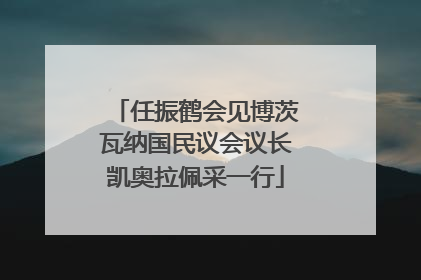 任振鹤会见博茨瓦纳国民议会议长凯奥拉佩采一行