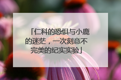 仁科的恐惧与小鹿的迷茫，一次刻意不完美的纪实实验