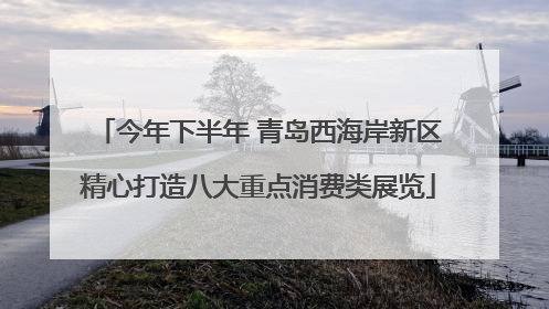 今年下半年 青岛西海岸新区精心打造八大重点消费类展览