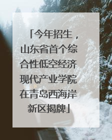 今年招生，山东省首个综合性低空经济现代产业学院在青岛西海岸新区揭牌