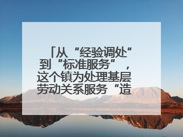 从“经验调处”到“标准服务”，这个镇为处理基层劳动关系服务“造标尺”