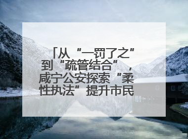 从“一罚了之”到“疏管结合”，咸宁公安探索“柔性执法”提升市民出行体验
