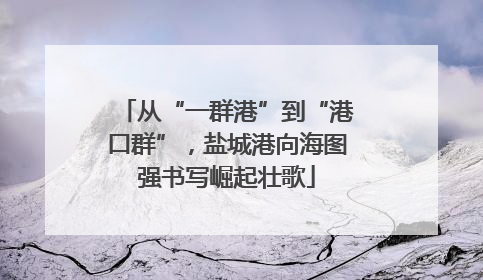 从“一群港”到“港口群”，盐城港向海图强书写崛起壮歌