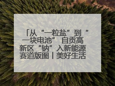 从“一粒盐”到“一块电池” 自贡高新区“钠”入新能源赛道版图丨美好生活有“盐”味