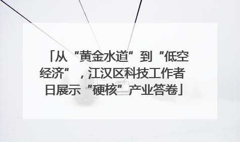 从“黄金水道”到“低空经济”，江汉区科技工作者日展示“硬核”产业答卷