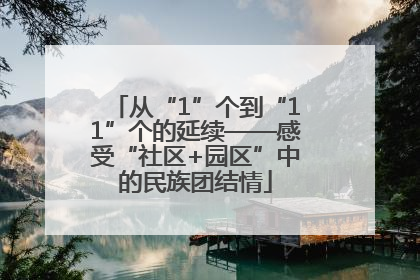 从“1”个到“11”个的延续——感受“社区+园区”中的民族团结情