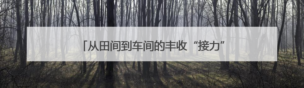 从田间到车间的丰收“接力”——山东夏季农业生产见闻