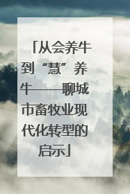 从会养牛到“慧”养牛——聊城市畜牧业现代化转型的启示