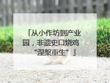 从小作坊到产业园，非遗史口烧鸡“涅槃重生”