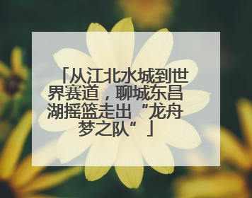 从江北水城到世界赛道，聊城东昌湖摇篮走出“龙舟梦之队”