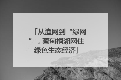从渔网到“绿网”，蔡甸桐湖网住绿色生态经济