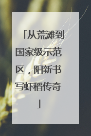 从荒滩到国家级示范区，阳新书写虾稻传奇