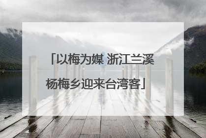 以梅为媒 浙江兰溪杨梅乡迎来台湾客
