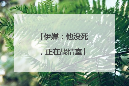 伊媒：他没死，正在战情室