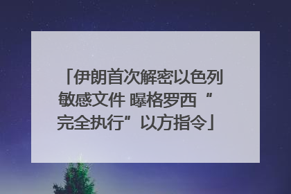 伊朗首次解密以色列敏感文件 曝格罗西“完全执行”以方指令
